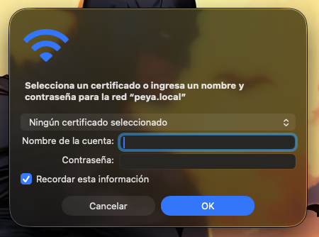 Paso 2