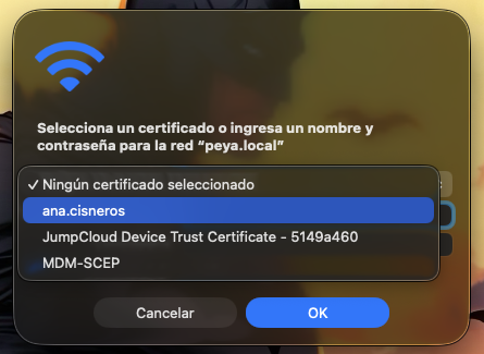 Paso 3