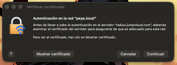 Paso 4